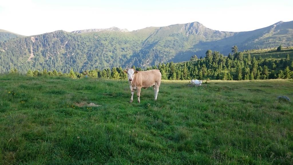 Haus Othmar Schabuss Guest House Bad Kleinkirchheim Eksteriør bilde